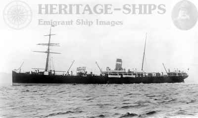 (image for) Pomeranian