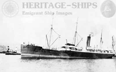 Cameo - Wilson Line steamship
