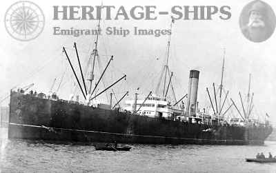 (image for) Montreal (1)