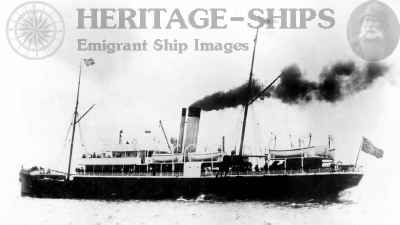 (image for) Tasso (2)